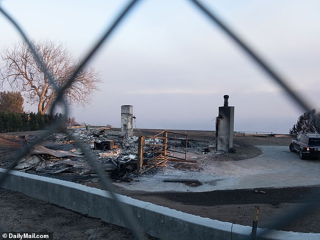 Despite losing his home to the raging bushfires, 2025 has started on a positive note for the First Son, who received a blanket pardon from his father last month for all the crimes he committed between 2014 and 2024.