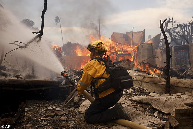 Firefighters have admitted that they are still unable to contain the flames due to strong winds and the fires have left at least five dead