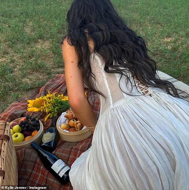 The Kylie Cosmetics founder and Chalamet fell in love and took an afternoon away together, enjoying a picnic of cakes, fruit and Italian wine in a meadow where he bought her a bouquet of birthday flowers.