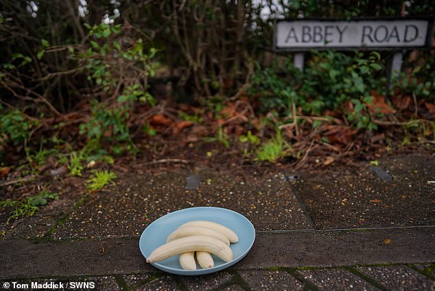 The prankster has been leaving the plate on the corner of Abbey Road and Wensor Avenue for more than a year