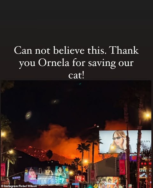 Rebel shared a terrifying image, taken by her friend Ornela, that showed the West Hollywood skyline engulfed in flames. While it's unclear how bad the fires' impact on Rebel's home has been, she revealed that her cat needed to be rescued from the encroaching flames.