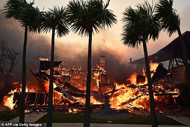 The researchers cite recent weather events in California, including a series of damaging wildfires to start the year. Pictured: The Palisades Fire in Pacific Palisades, California, on January 8, 2025