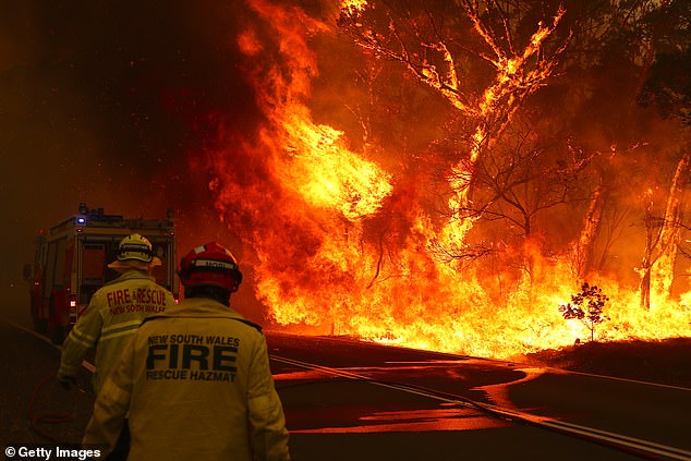 The researchers cite multiple whiplash events between 2016 and 2023, including the fatal bushfires in Australia five years ago. Pictured: Fire on the outskirts of Bilpin town on December 19, 2019 in Sydney, Australia