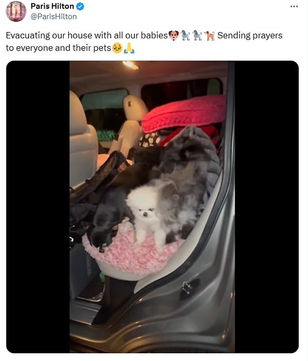 Paris captioned the post: 'Evacating our house with all our babies. Sending prayers to everyone and their pets.