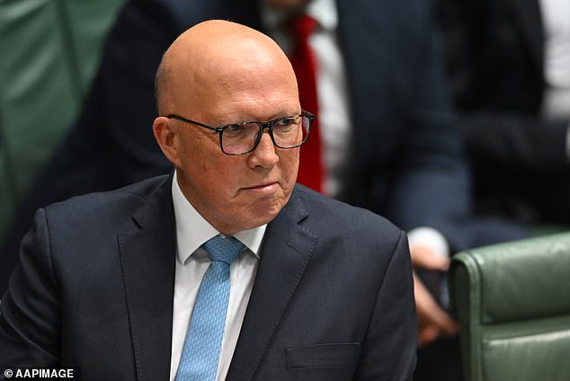 Opposition leader Peter Dutton (pictured) slammed Smith for being 