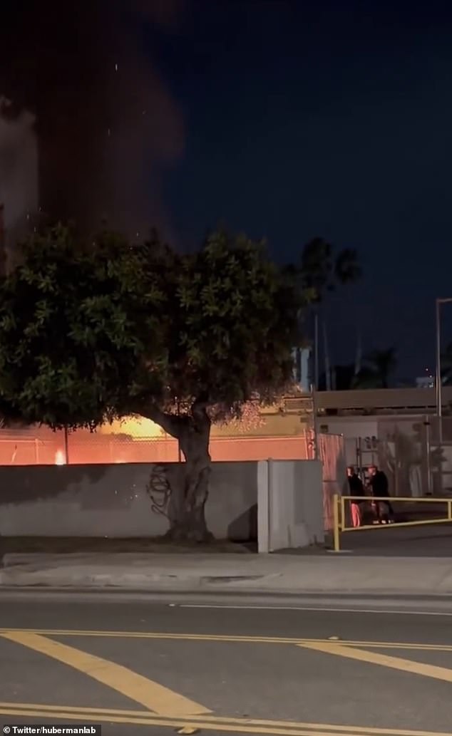 Pictured: The footage shows a group of men standing around a large blaze as smoke billows into the air. One also appears to film the incident with his phone