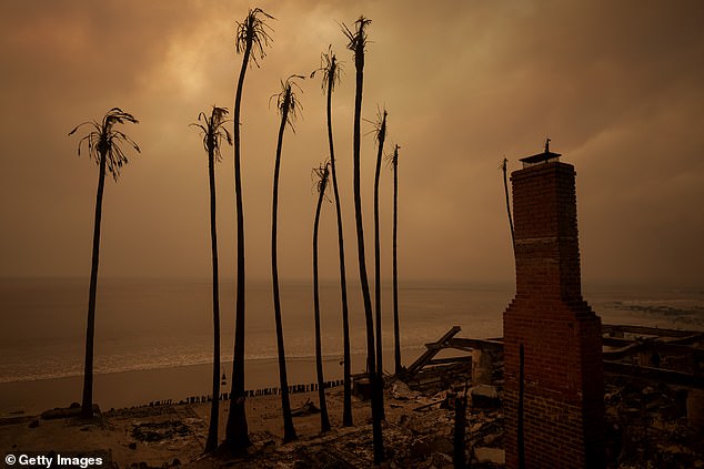 The remains of a home destroyed in the Palisades Fire in Malibu were pictured last night