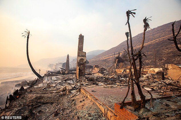 Multiple fires have caused devastation throughout the Los Angeles metropolitan area in recent days.