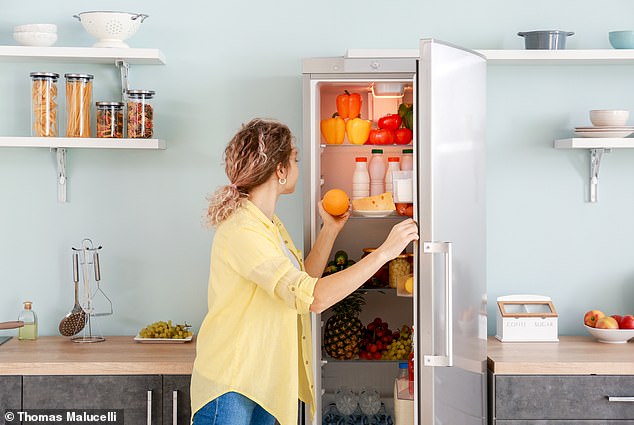 Refrigerators are one of the appliances that consume the most energy and work non-stop.