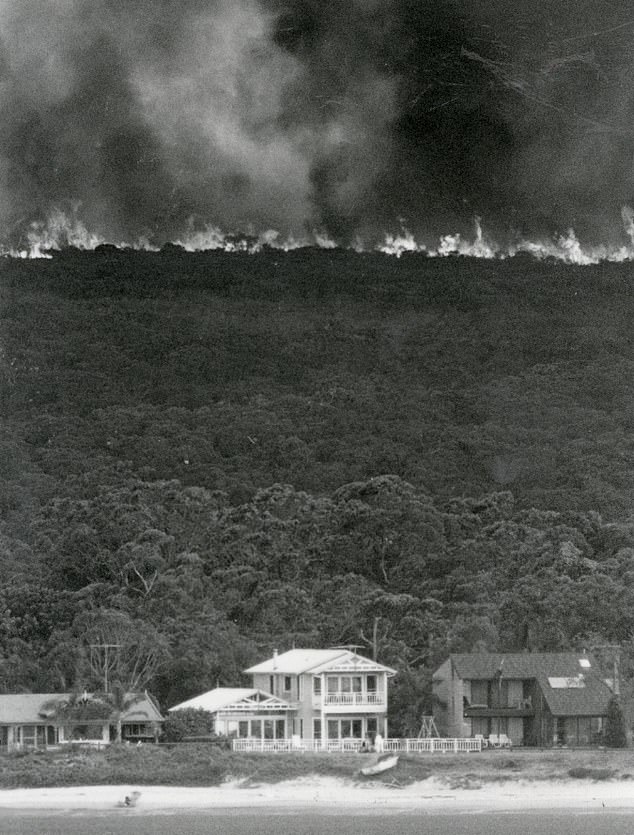 A wall of fire engulfed beachfront homes during the Sydney fires thirty years ago