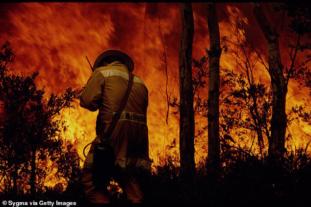 The fires burned about 2 million acres of land in New South Wales, from Sydney to the Queensland border.