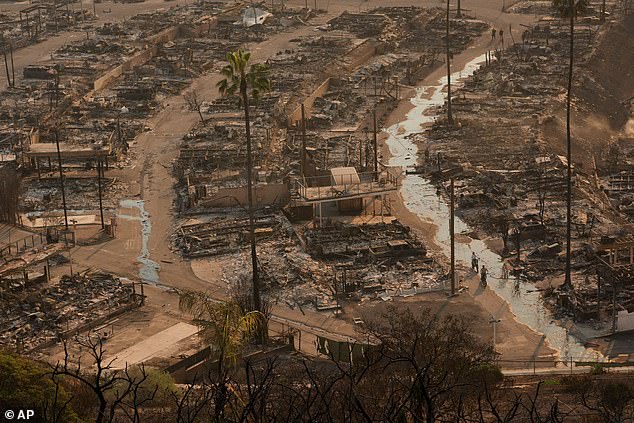 Extraordinary drone images highlight the unprecedented extent of damage in Southern California, as once-magnificent homes and a total of 10,000 structures are reduced to gray rubble covered in ash.