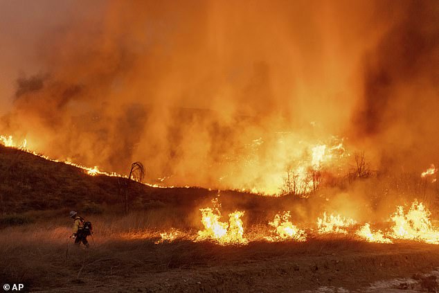 An apocalyptic, fast-moving fire that prompted mass evacuations in Calabasas and Hidden Hills is being investigated as an arson incident, and a suspect has been arrested.