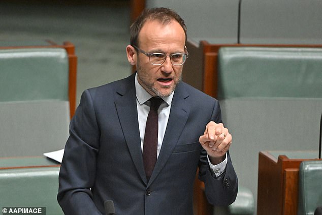 If Albo heads a minority government, Greens leader Adam Bandt will likely be in the box to decide whether the prime minister stays or goes.