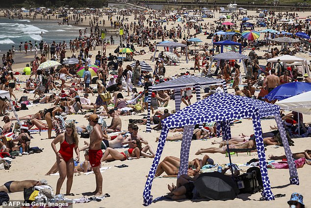 Beach huts and their much-needed shade have become increasingly popular on Australian beaches.