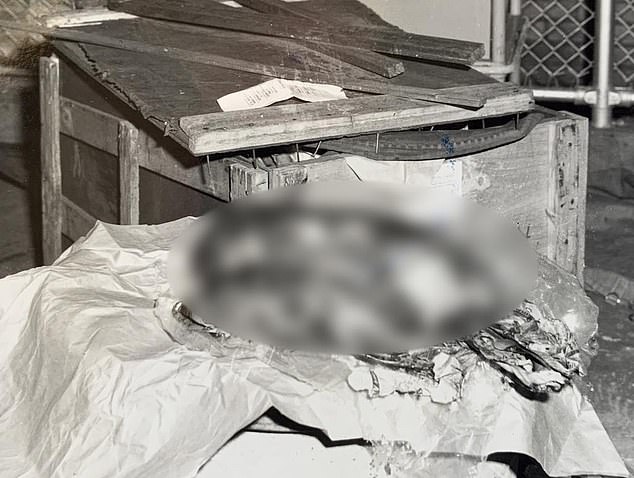 The baby's body was found inside a postal parcel (pictured) that was sent to a Darwin post office almost 60 years ago.