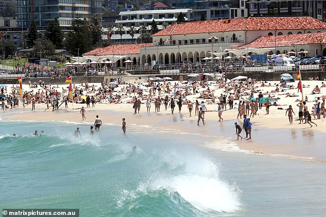 Beachwatch is also known to be testing water samples for dangerous bacteria such as E. Coli, which can cause diarrhoea, vomiting, fever and loss of appetite (pictured at Bondi Beach in Sydney).