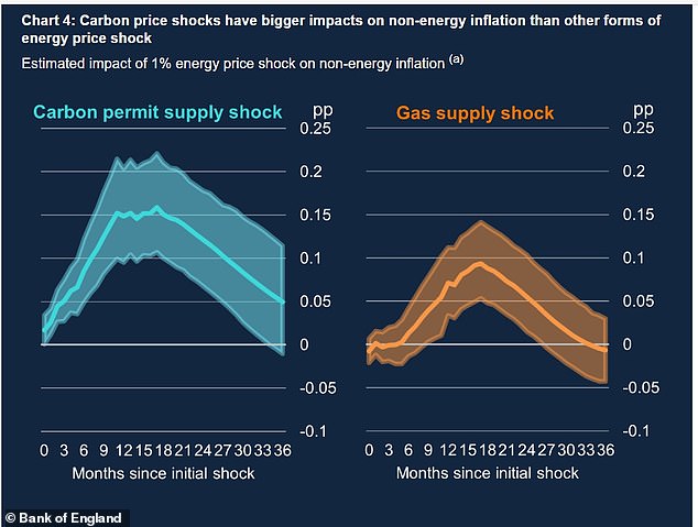 The Bank of England compared the impact of the gas supply shock and the carbon permit supply shock