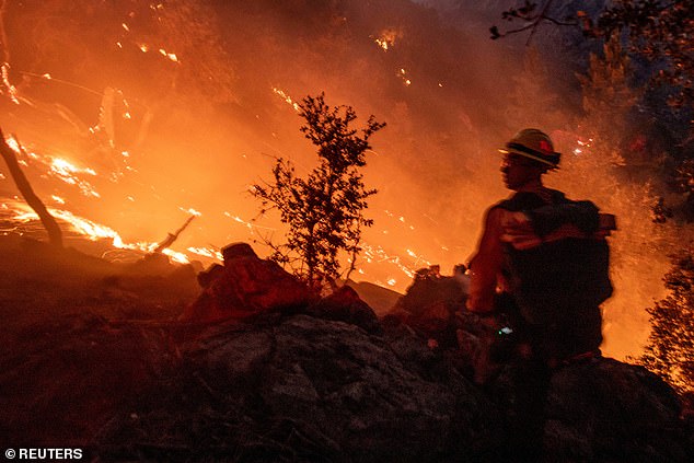 A firefighter battles the fire in the Angeles National Forest near Mount Wilson as wildfires burn in the Los Angeles area, during the Eaton Fire in Altadena.