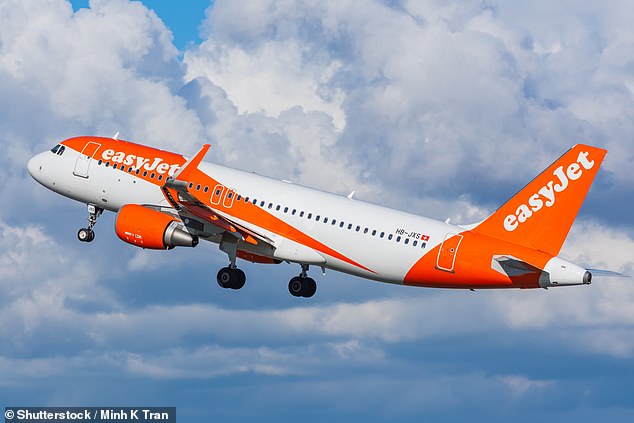 Which? Investigators left a phone on an EasyJet flight from Nice to London Luton Airport and never recovered it, despite checking it in with the airline's external baggage handler, Menzies.