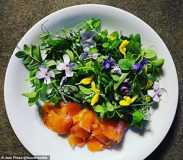 Homemade smoked salmon with wild spring salad