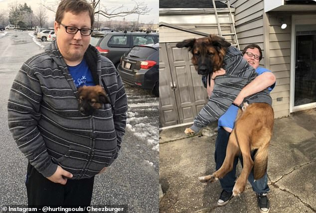 A proud owner who shares his four-legged friend just one year after adopting him. They grow so fast these days...