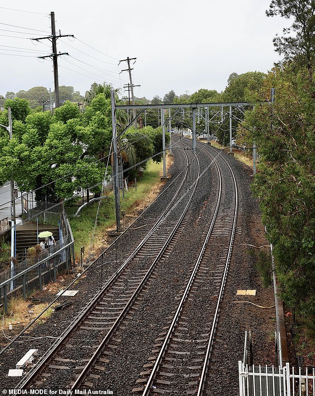 Samia was found dead near Merrylands train station (pictured) in the early hours of December 29.