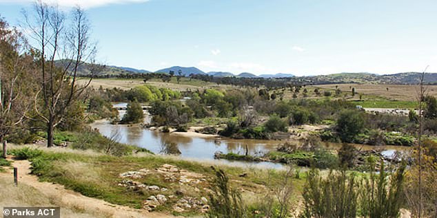 The tragedy unfolded on Pine Island, a popular swimming spot in Canberra.