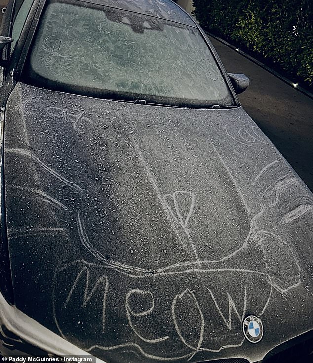 The comedian shared a photo of the damage that showed a cat stamped on the hood of his car.