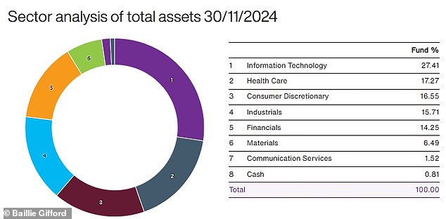 BG Positive Change invests more than a quarter of its portfolio in technology stocks