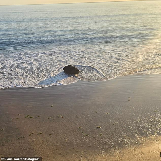 The 68-year-old veteran hitmaker posted a photo of a prominent rock in the surf, which she photographs annually to commemorate the death of her 'amazing crazy friend' Leah from cancer