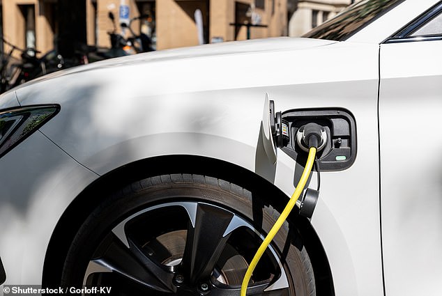 Electric vehicle owners will see the cost of their annual permit soar from £40 to £105. Owners of petrol and diesel vehicles, on the other hand, will see their permit costs fall from £120 to £105.